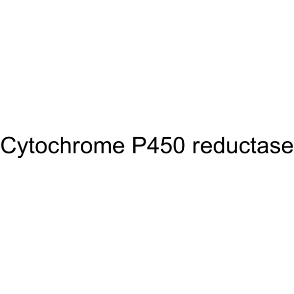 Cytochrome P450 reductase 9039-06-9